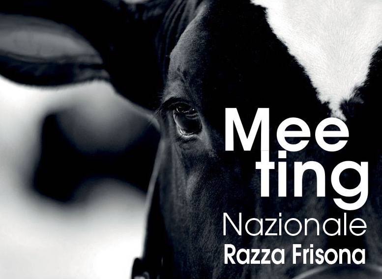 Meeting Nazionale Razza Frisona: il 19 maggio a Reggio Emilia Progeo e CILA ci mostrano come viene prodotto il Parmigiano Reggiano